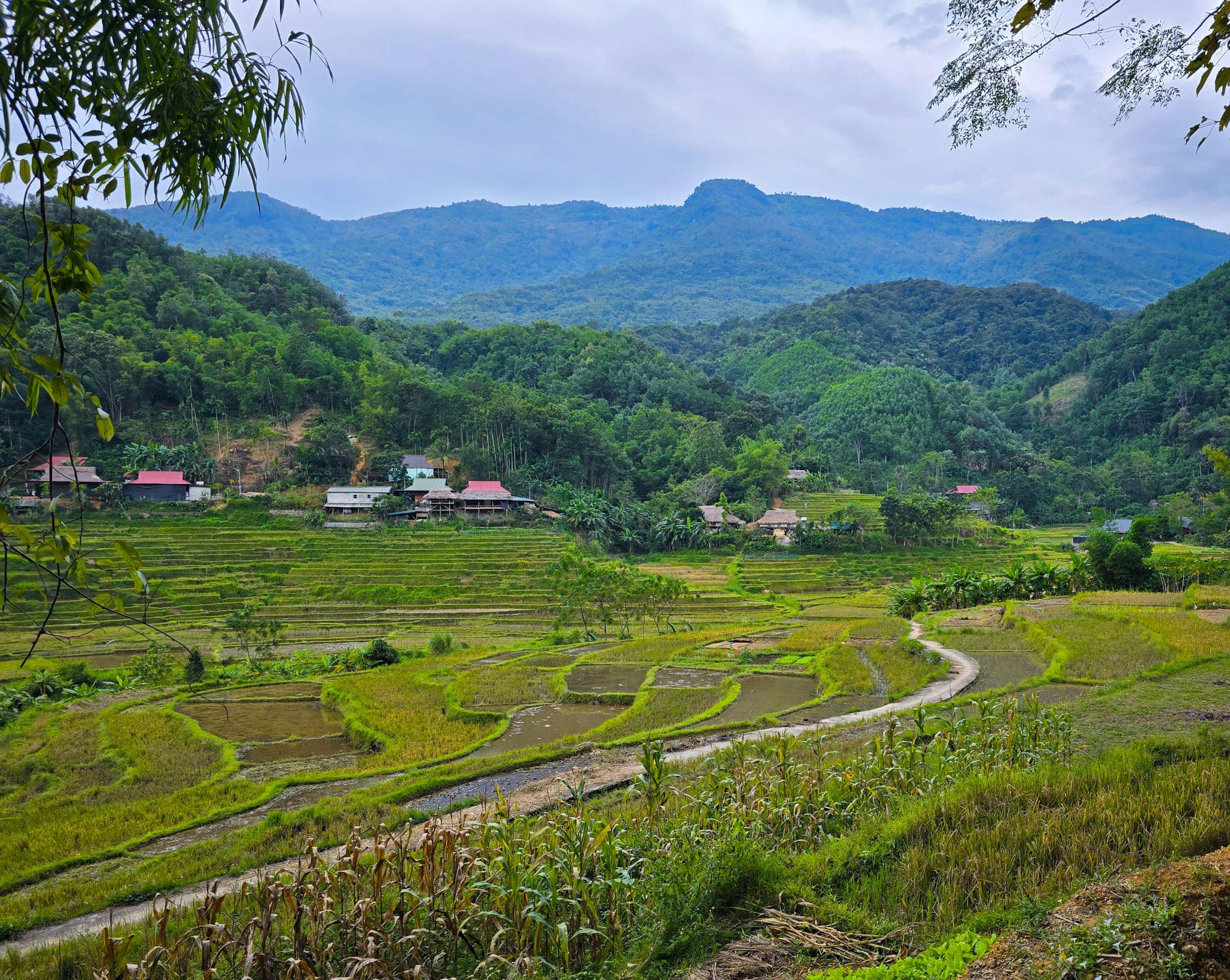 Hiking Tour Northern Vietnam 9 Days Mai Chau, Pu Luong